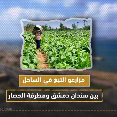 مزارعو التبغ في الساحل بين سندان دمشق ومطرقة الحصار