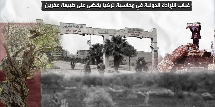 غياب الإرادة الدولية في محاسبة تركيا يقضي على طبيعة عفرين