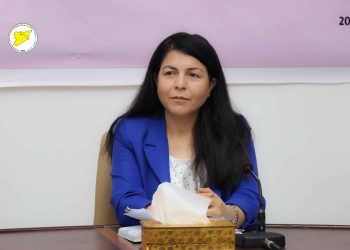 قره مان: الحوار هو الطريق الوحيد نحو حل الأزمة السورية