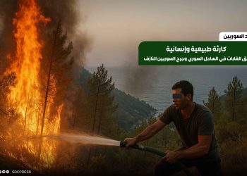 كارثة طبيعية وإنسانية.. حرائق الغابات في الساحل السوري وجرح السوريين النازف