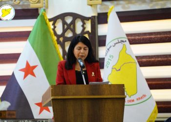 الرئيسة المشتركة لـ مسد: نحو عقد اجتماعي جامع ودولة ديمقراطية لامركزية